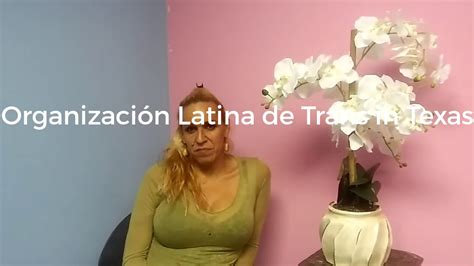 transexuales houston tx|TransHouston.